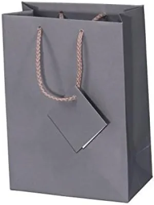 10 Pack Large Gray Matte Finish Solid Shopping Paper Gift Sales Tote Bags with Blank Message Tag 8" x 5" x 10" Inches- By R J Displays