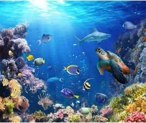 10x8ft Under The Sea Backdrop, Ocean Underwater Sunlight Photography Background, Tropical Fish Dolphin Turtle Coral Seabed Backdrop for Newborn Baby Shower Birthday Party Decorations Supplies