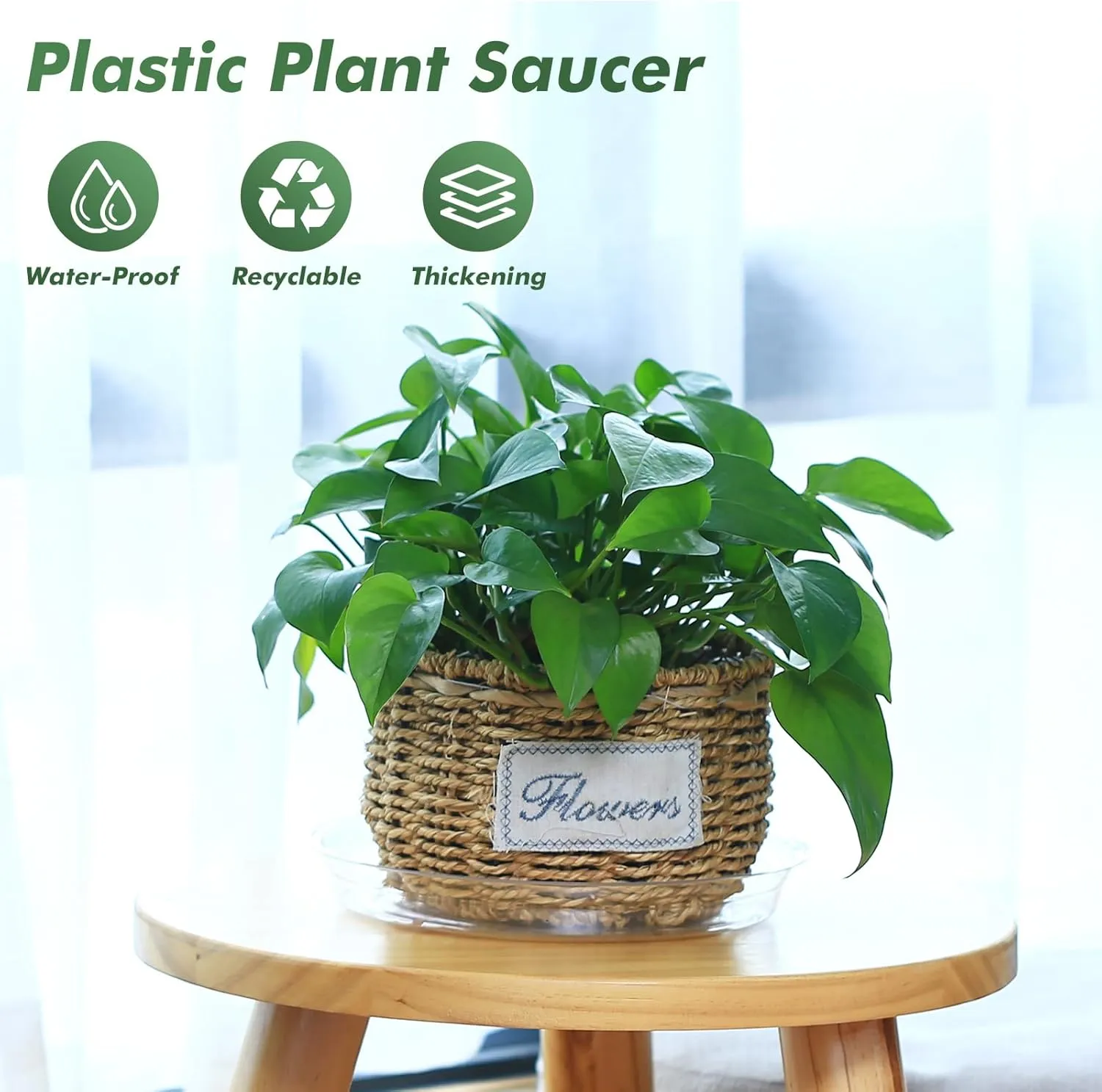 60 Pack Clear Plant Saucers for Indoors (4 6 Inch) Flower Pot Saucers for Potted Plants Plate Set Plant Trays for Indoors No Holes Plants Saucer Trays for Pots Drip Tray Plastic Tray for Succulent