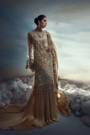 Ashes of Gold