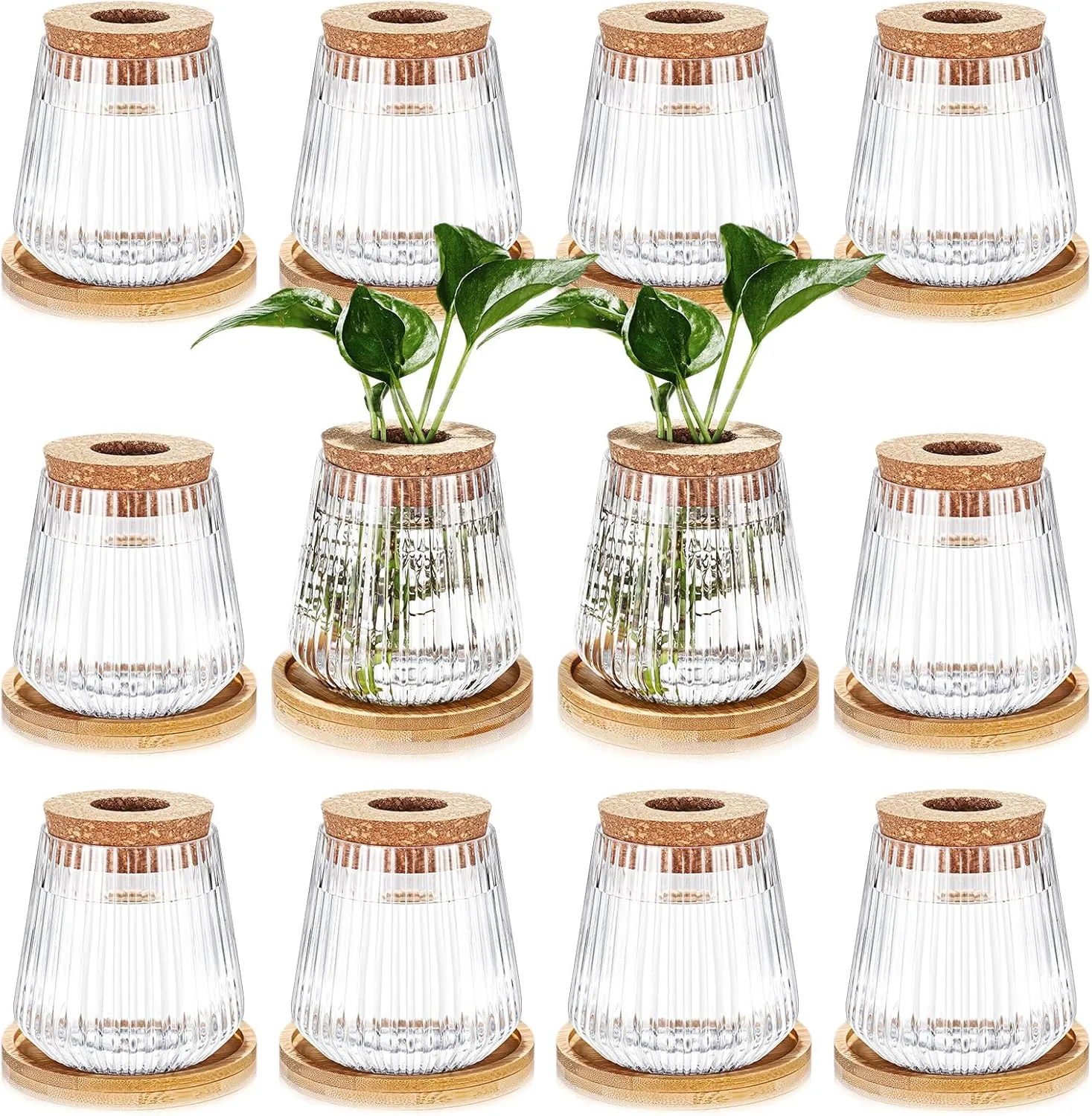 Baderke 12 Packs Propagation Vases for Plants Plastic Plant Propagation with Hole Lid and Bamboo Stand Growing in Water Hydroponic Home Office Desktop Vase Decoration