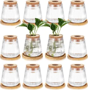 Baderke 12 Packs Propagation Vases for Plants Plastic Plant Propagation with Hole Lid and Bamboo Stand Growing in Water Hydroponic Home Office Desktop Vase Decoration