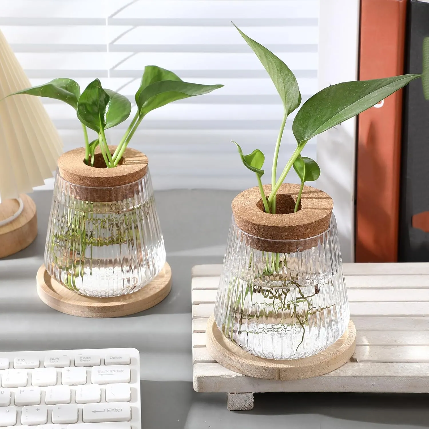 Baderke 12 Packs Propagation Vases for Plants Plastic Plant Propagation with Hole Lid and Bamboo Stand Growing in Water Hydroponic Home Office Desktop Vase Decoration