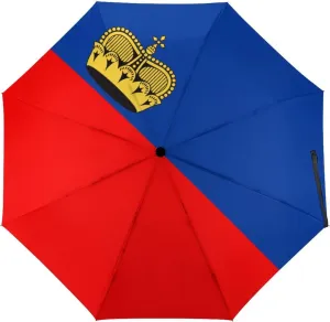 Haiti Flag Portable Automatic Switch Folding Umbrella Manual Sunshade Anti-UV Travel Umbrella Rainproof And Windproof Suitable for Men And Women