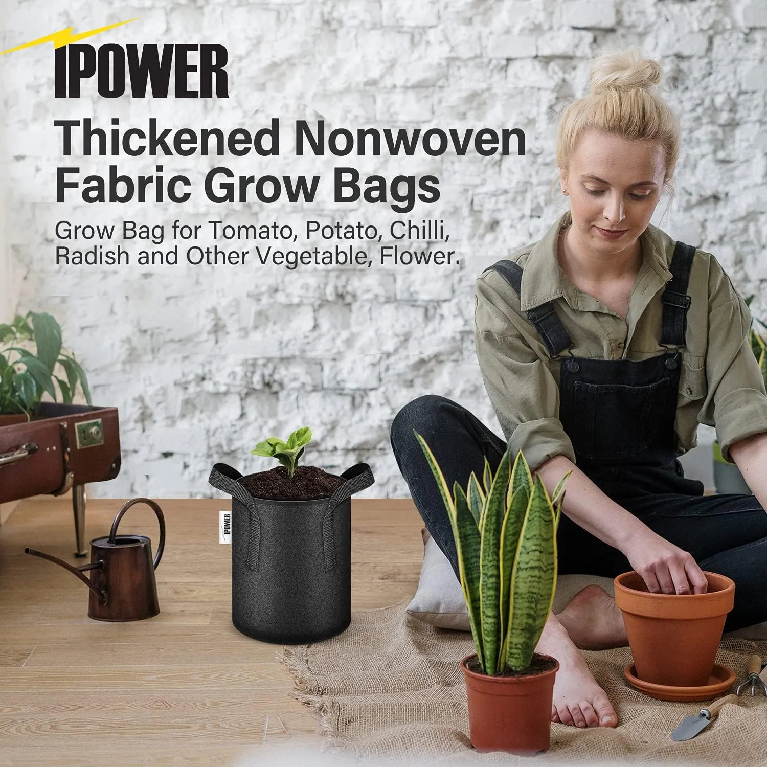 iPower 5 Gallon 10 Pack Grow Bags Nonwoven Fabric Pots Aeration Container with Strap Handles for Garden and Planting, 10-Pack Black, 5 Gallon