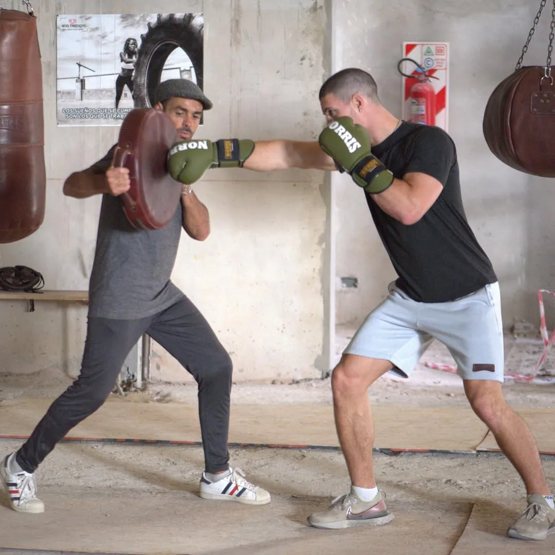 Norris 1966 Sparring Gloves - Premium Boxing Gloves Men & Boxing Gloves Women with Anti-Shock Padding - Boxing Equipment for Training, Muay Thai, Kickboxing & Martial Arts