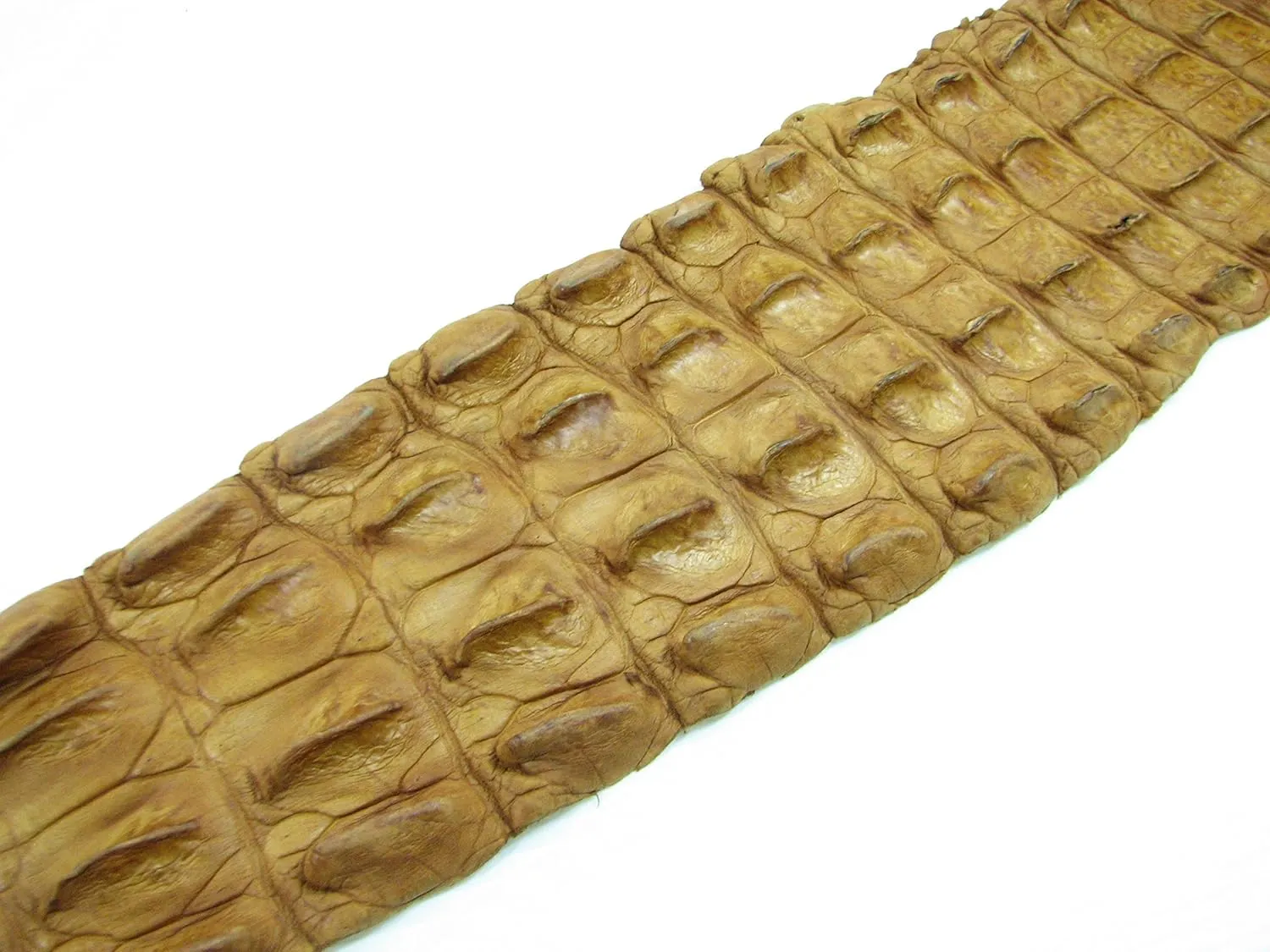 PELGIO Genuine Crocodile Alligator Hornback Skin Strap Leather Hide Pelt Tan Brown (5.0" x 42")