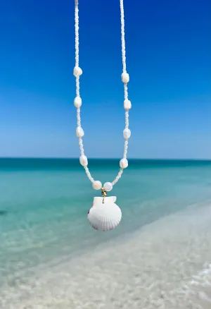 Scallop Shell Necklace