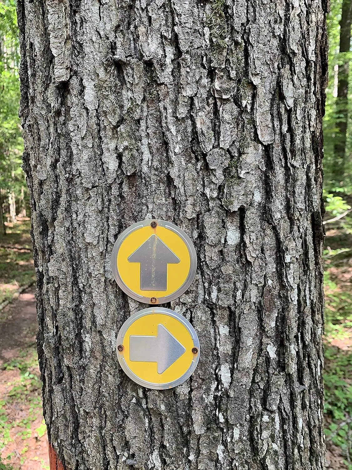 Trail Markers - Bright Reflective Trail Marker Pack of 24, Easy to Mount, Mark Your Trees for Hunting, Hiking, Camping, and More.