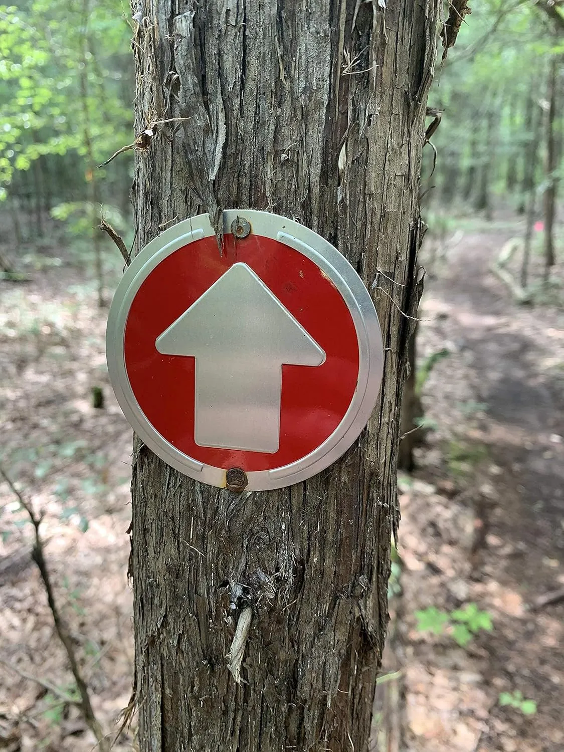 Trail Markers - Bright Reflective Trail Marker Pack of 24, Easy to Mount, Mark Your Trees for Hunting, Hiking, Camping, and More.
