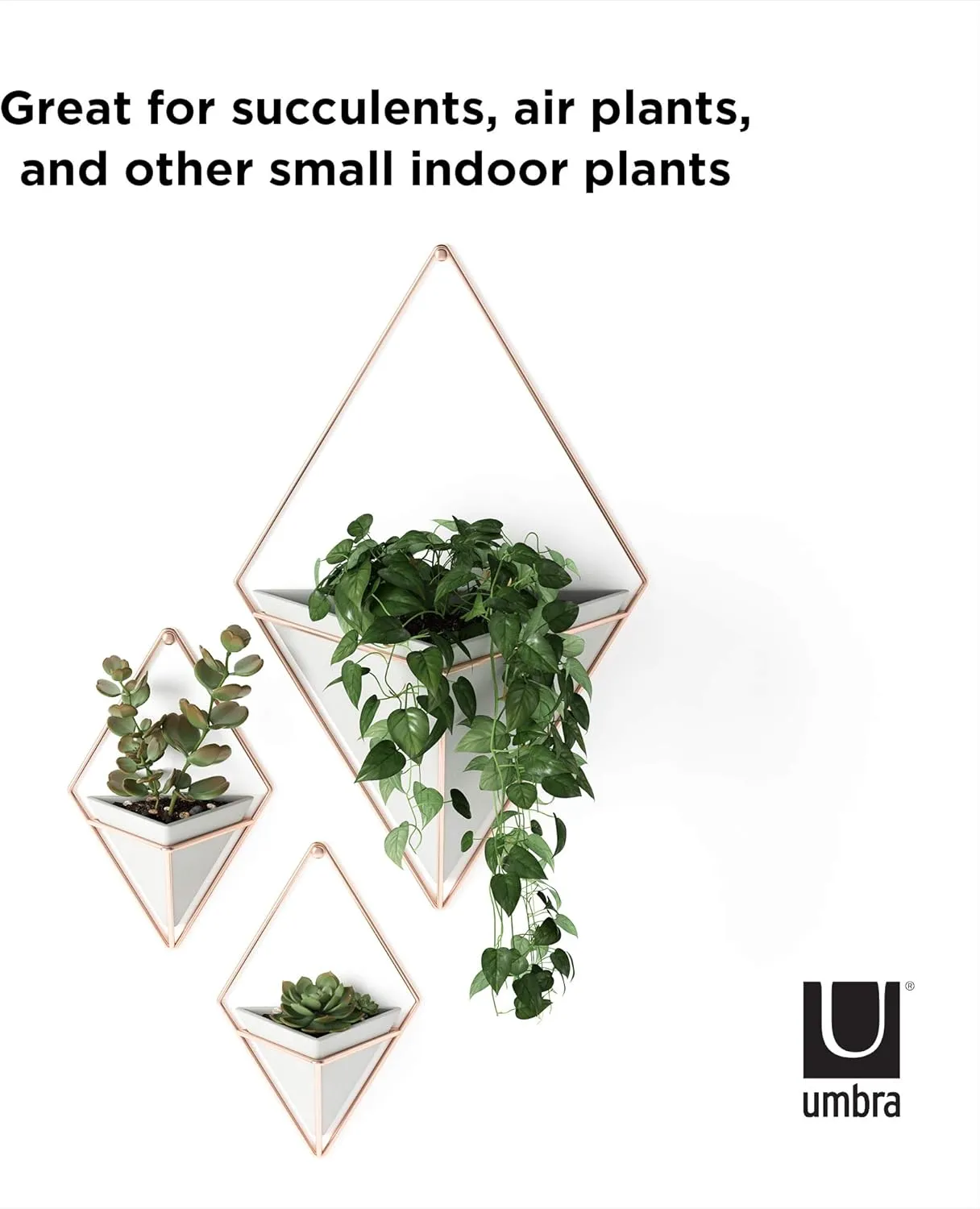 Umbra Trigg Hanging Planter, Large, Copper