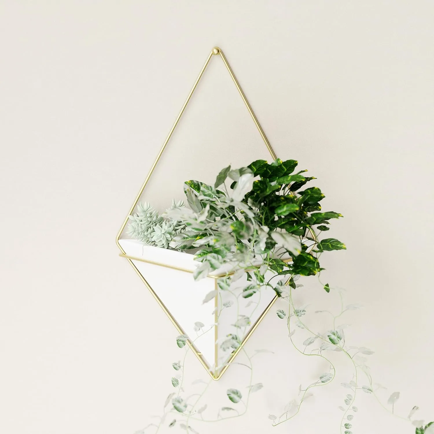 Umbra Trigg Hanging Planter Vase Wall Decor, Pot and Container for Succulents, Cactus, Faux Plants, and More, Large, White/Brass
