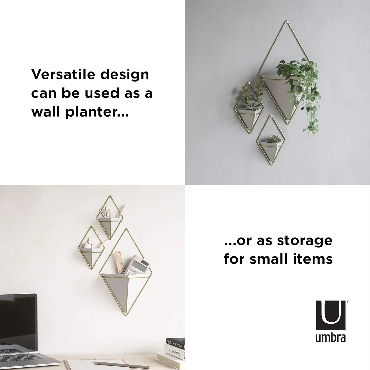 Umbra Trigg Hanging Planter Vase Wall Decor, Pot and Container for Succulents, Cactus, Faux Plants, and More, Large, White/Brass