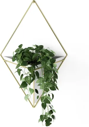 Umbra Trigg Hanging Planter Vase Wall Decor, Pot and Container for Succulents, Cactus, Faux Plants, and More, Large, White/Brass
