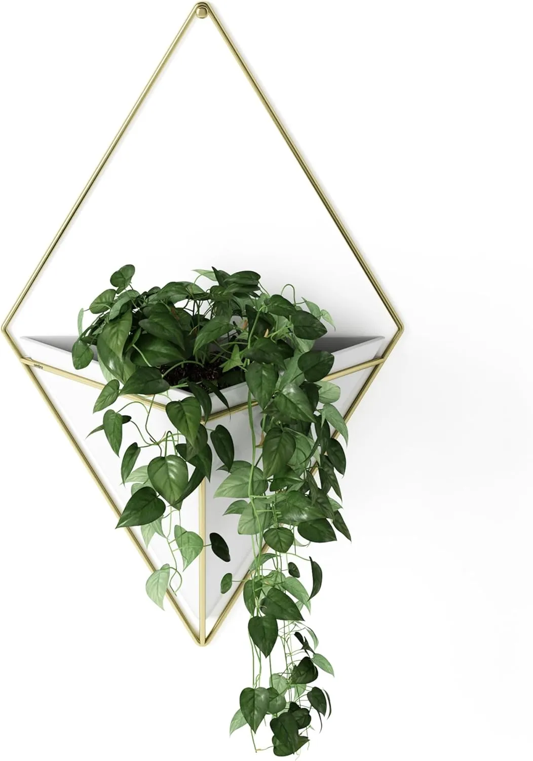 Umbra Trigg Hanging Planter Vase Wall Decor, Pot and Container for Succulents, Cactus, Faux Plants, and More, Large, White/Brass