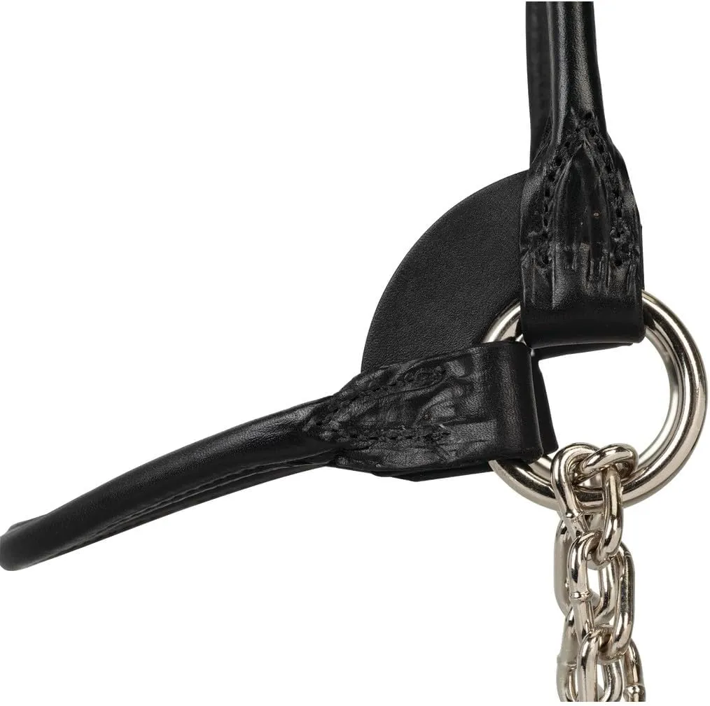 Weaver Leather Livestock Dairy/Beef Rounded Show Halter Black, Medium